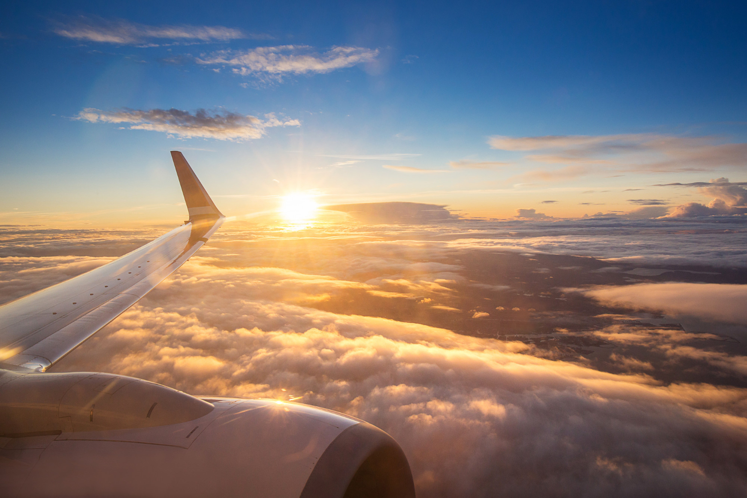 Airline