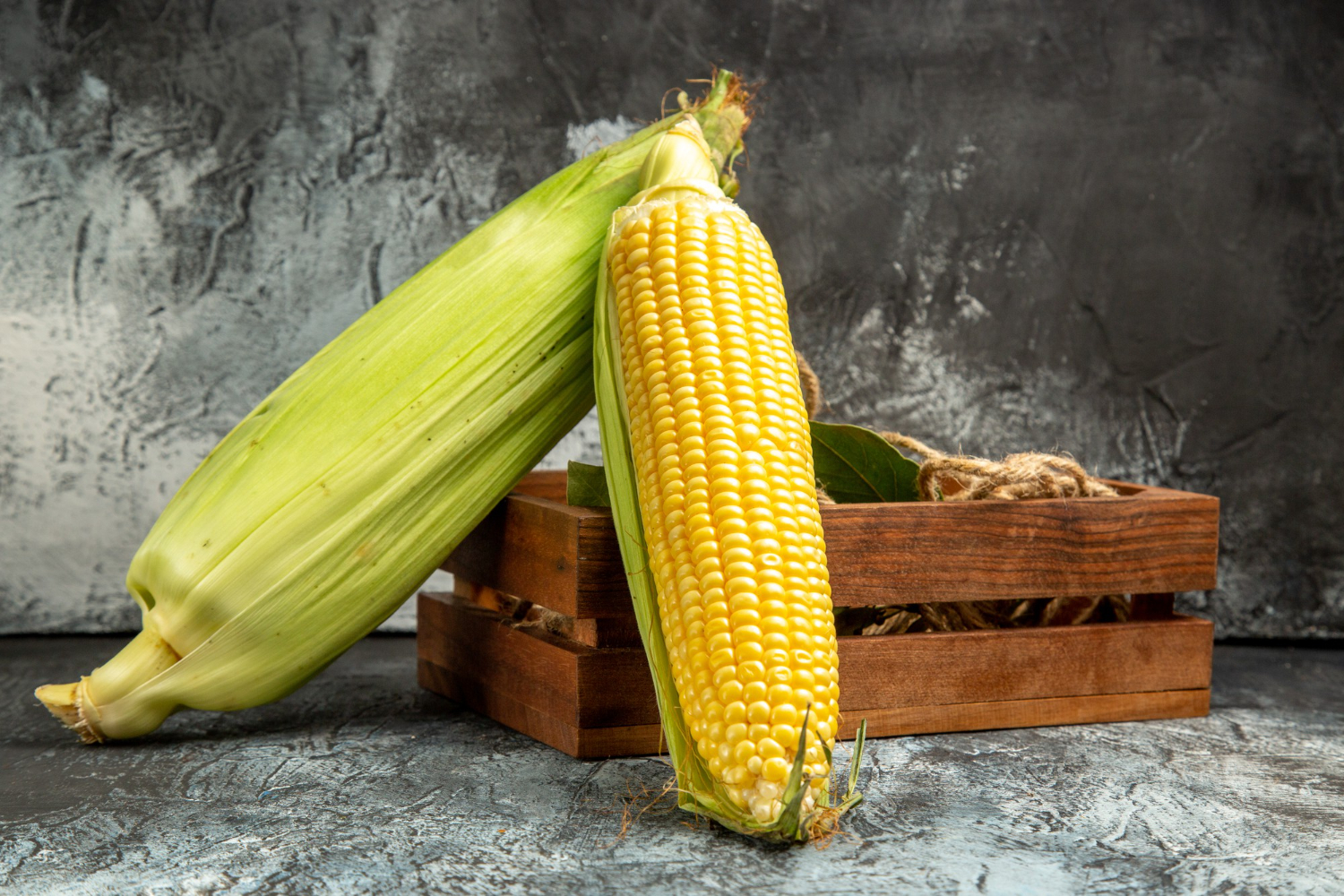 fresh corn