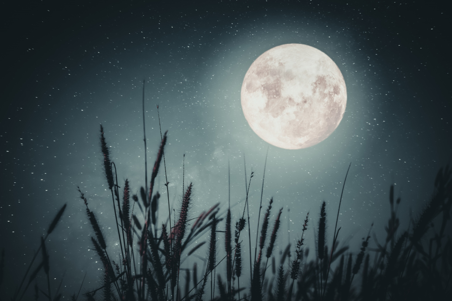 full moon
