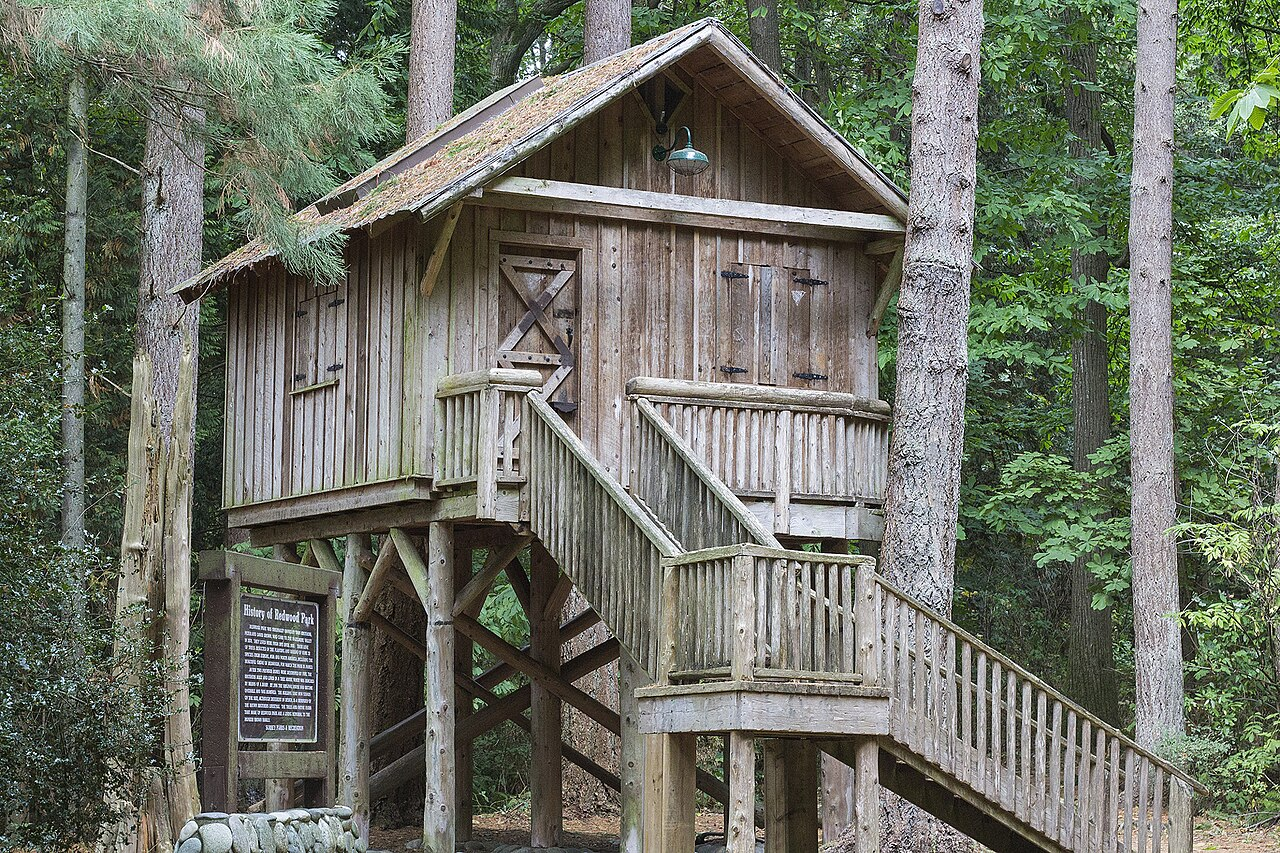 Treehouse