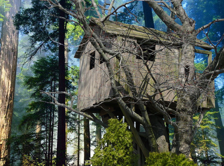 Treehouse