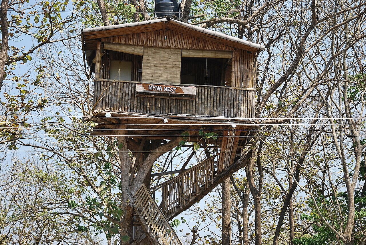 Treehouse