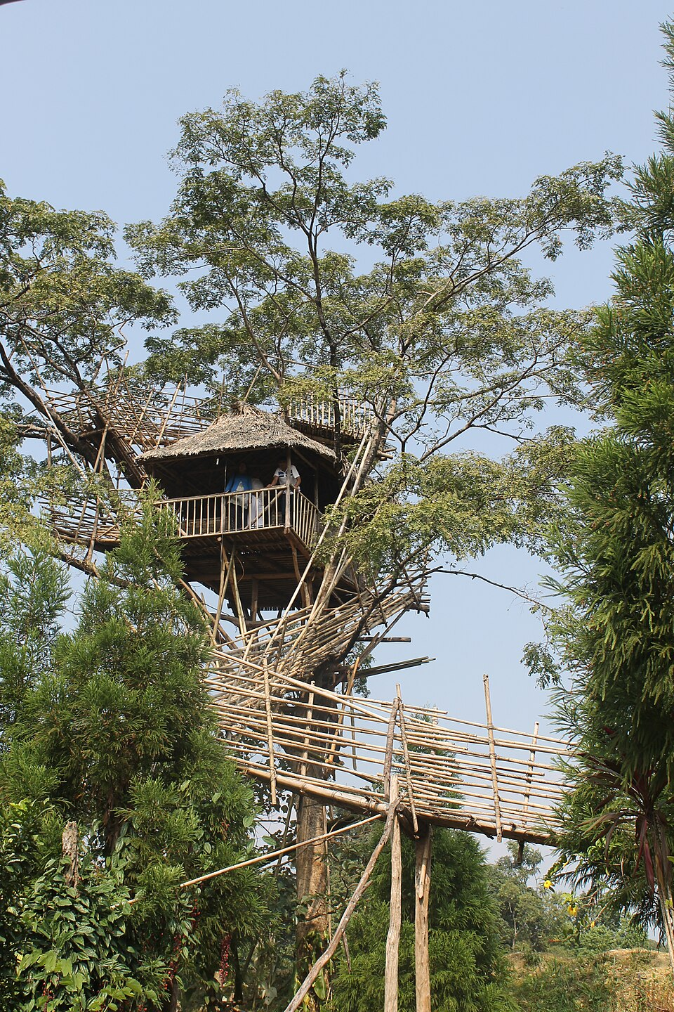 Treehouse