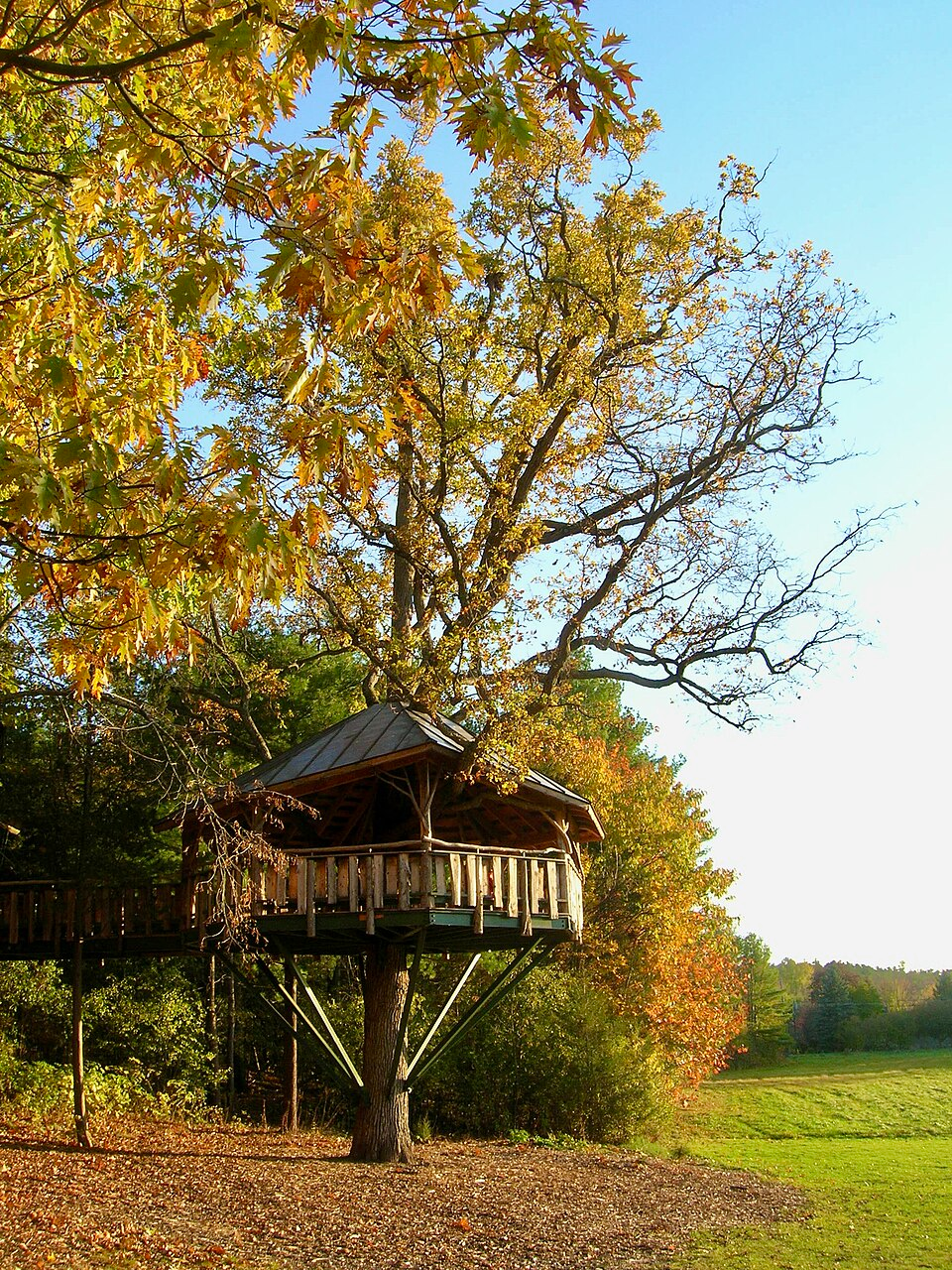 Treehouse