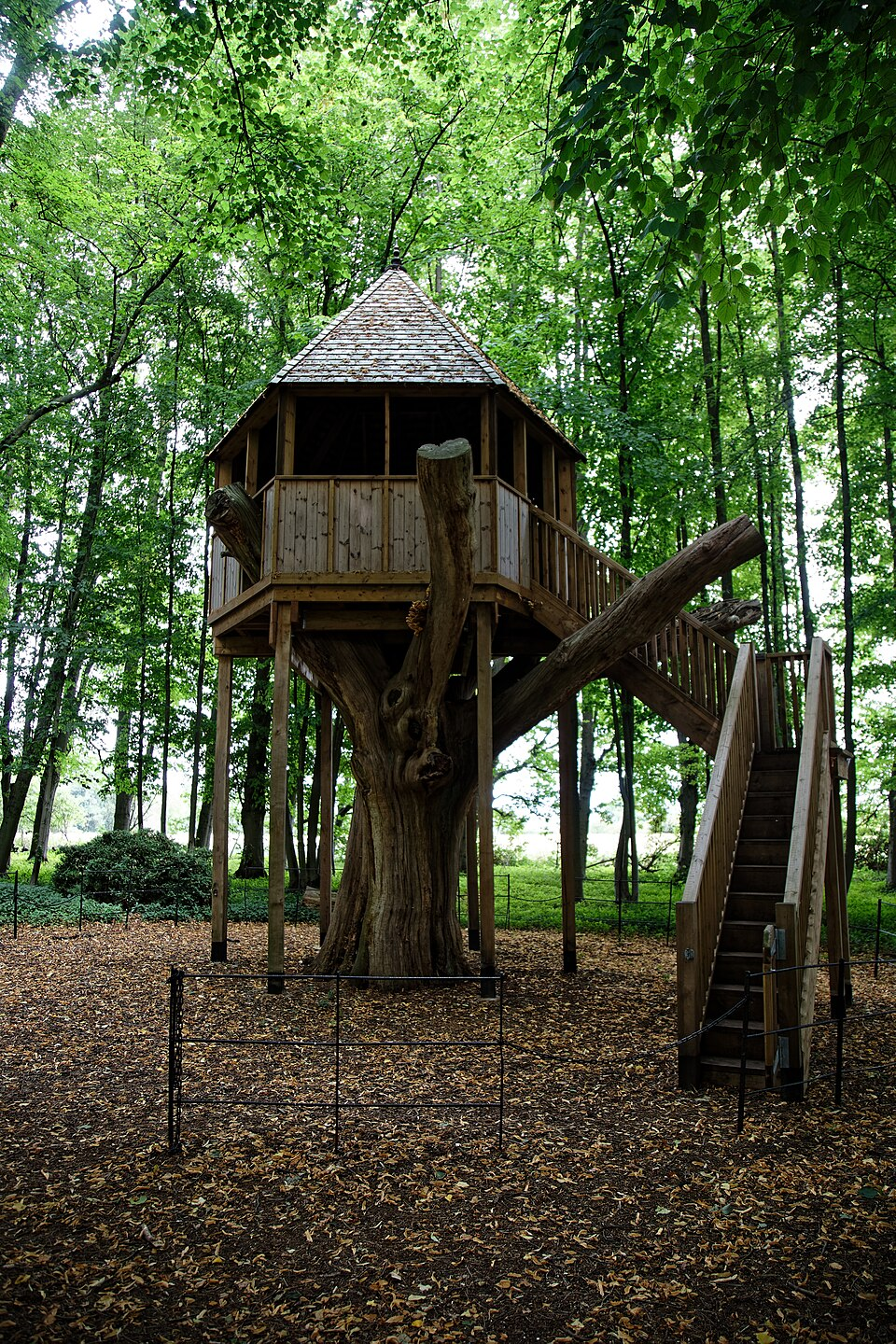 Treehouse