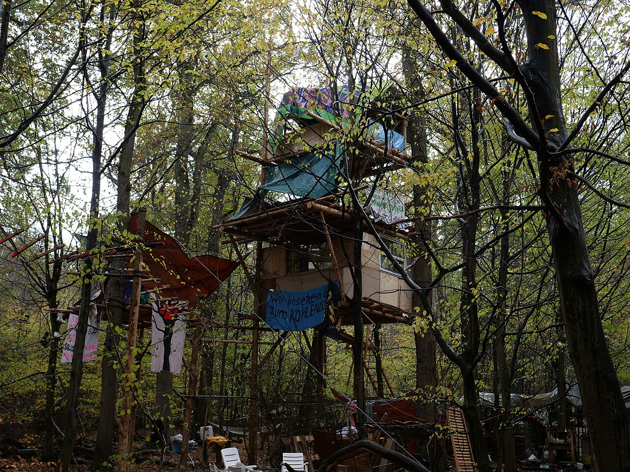 Treehouse