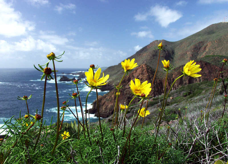 Baja California, Mexico