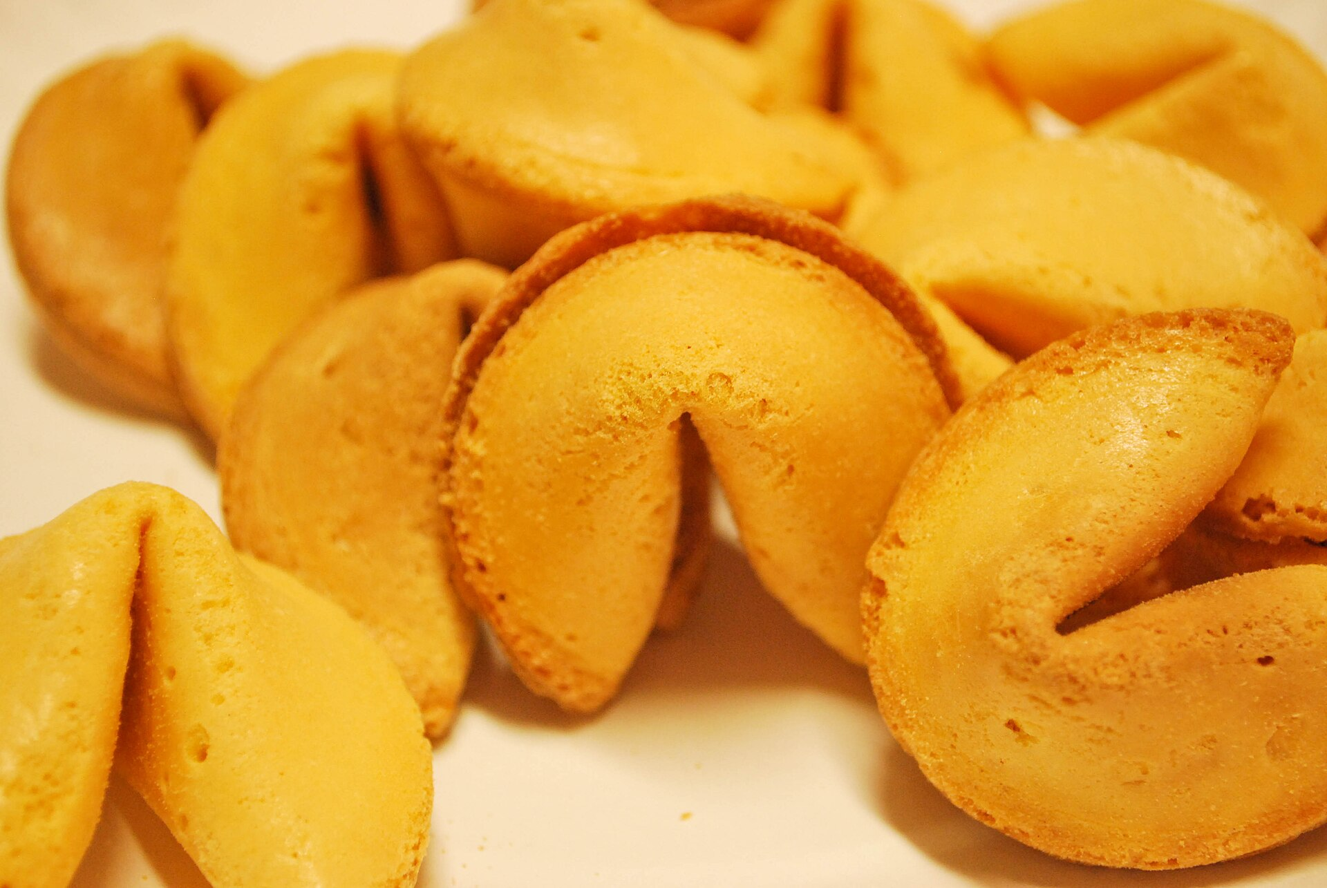 fortune cookie