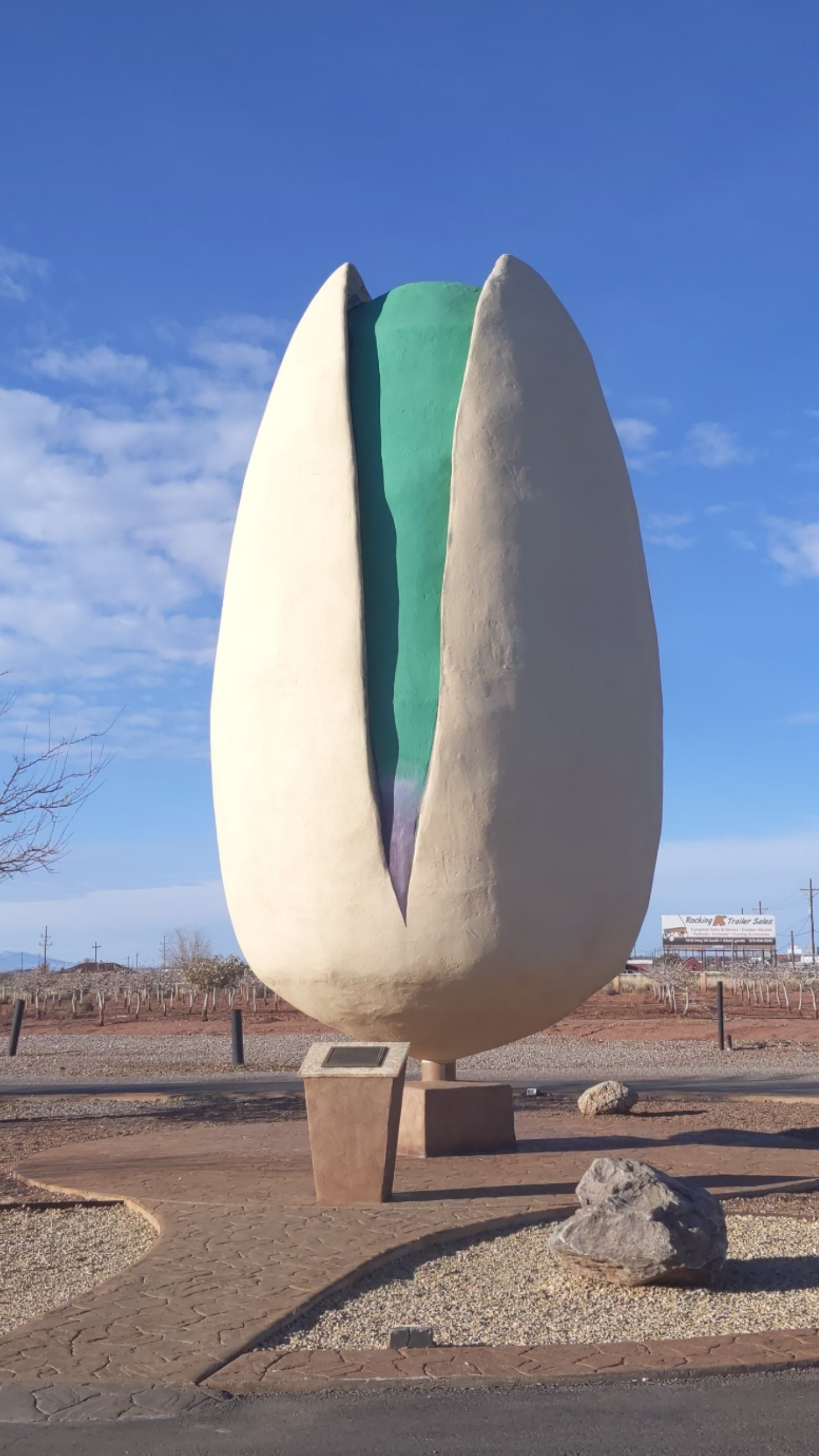 Largest Pistachio