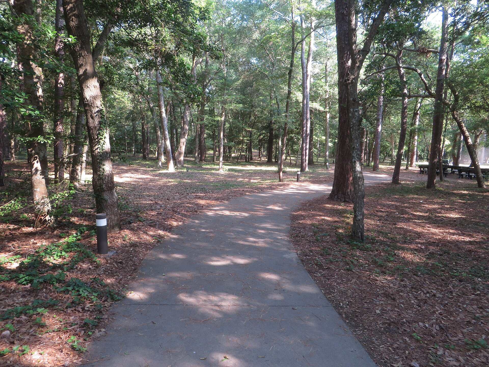 Roanoke Island