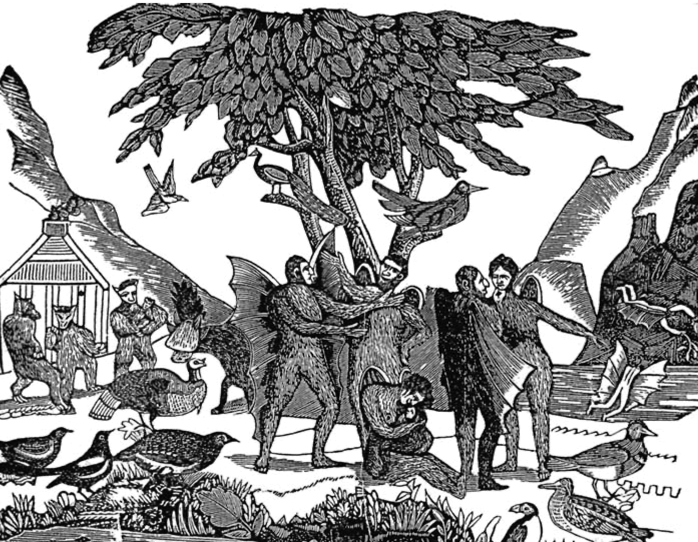 Great Moon Hoax