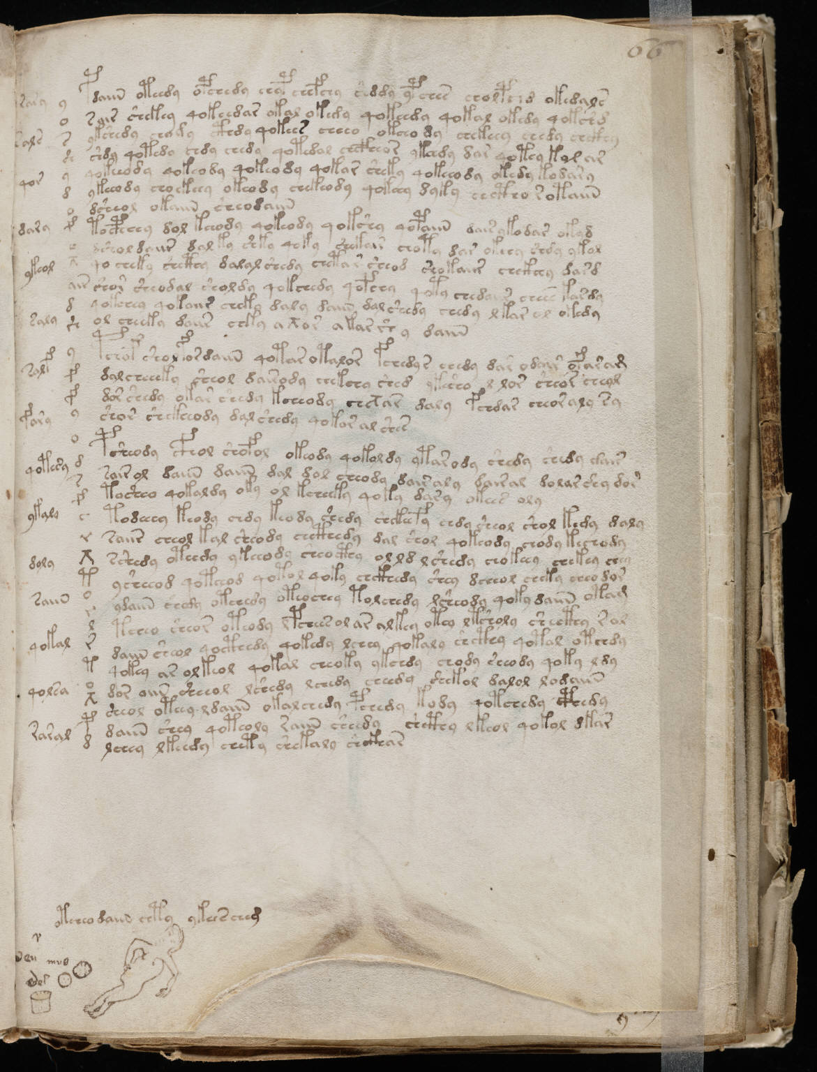 Voynich manuscript