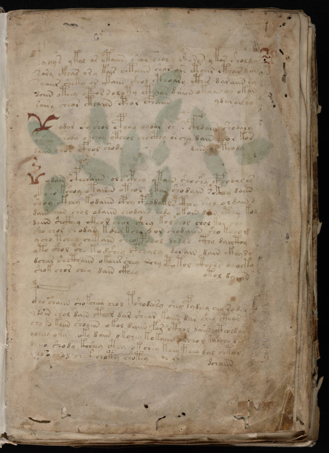 Voynich manuscript