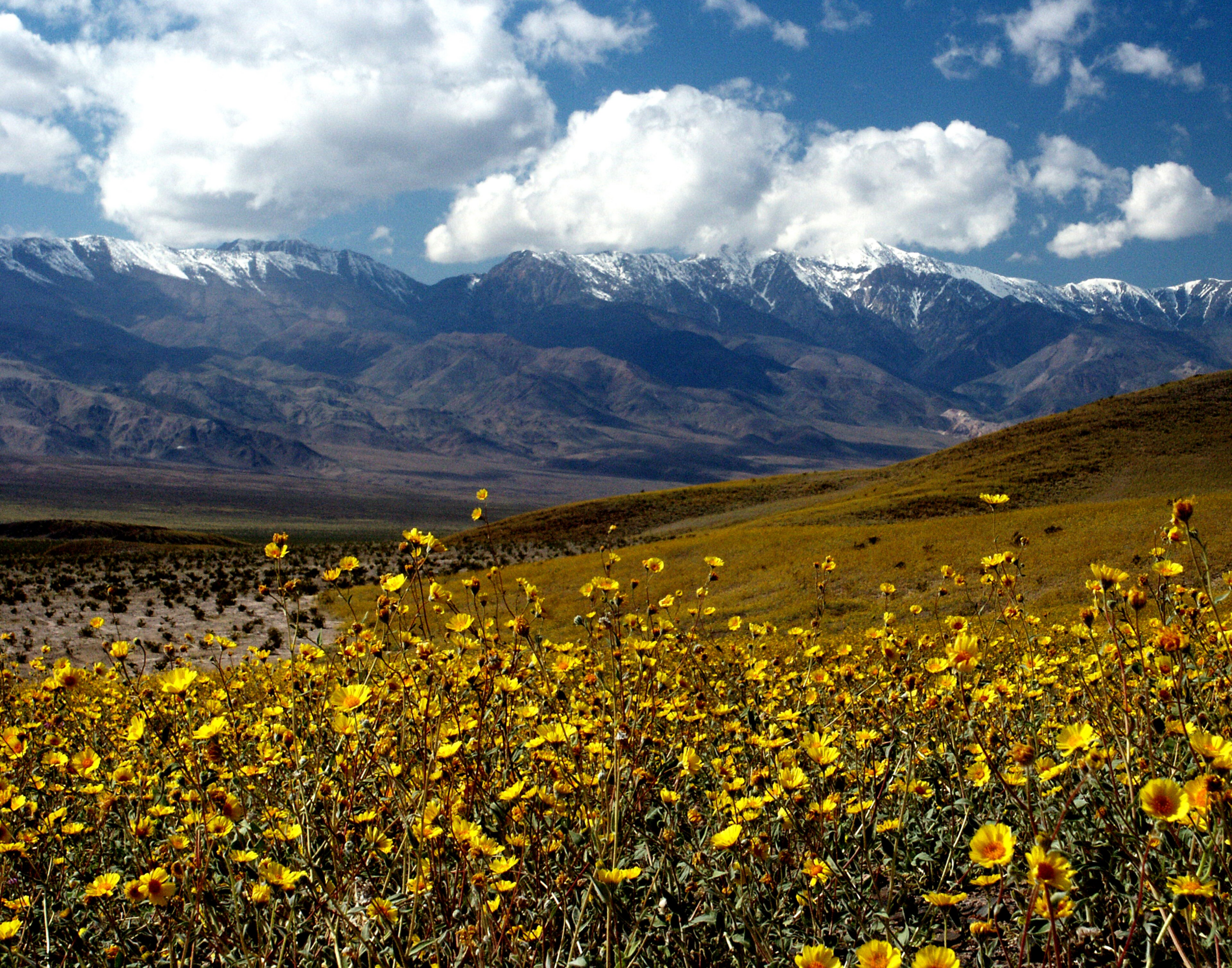 Death Valley
