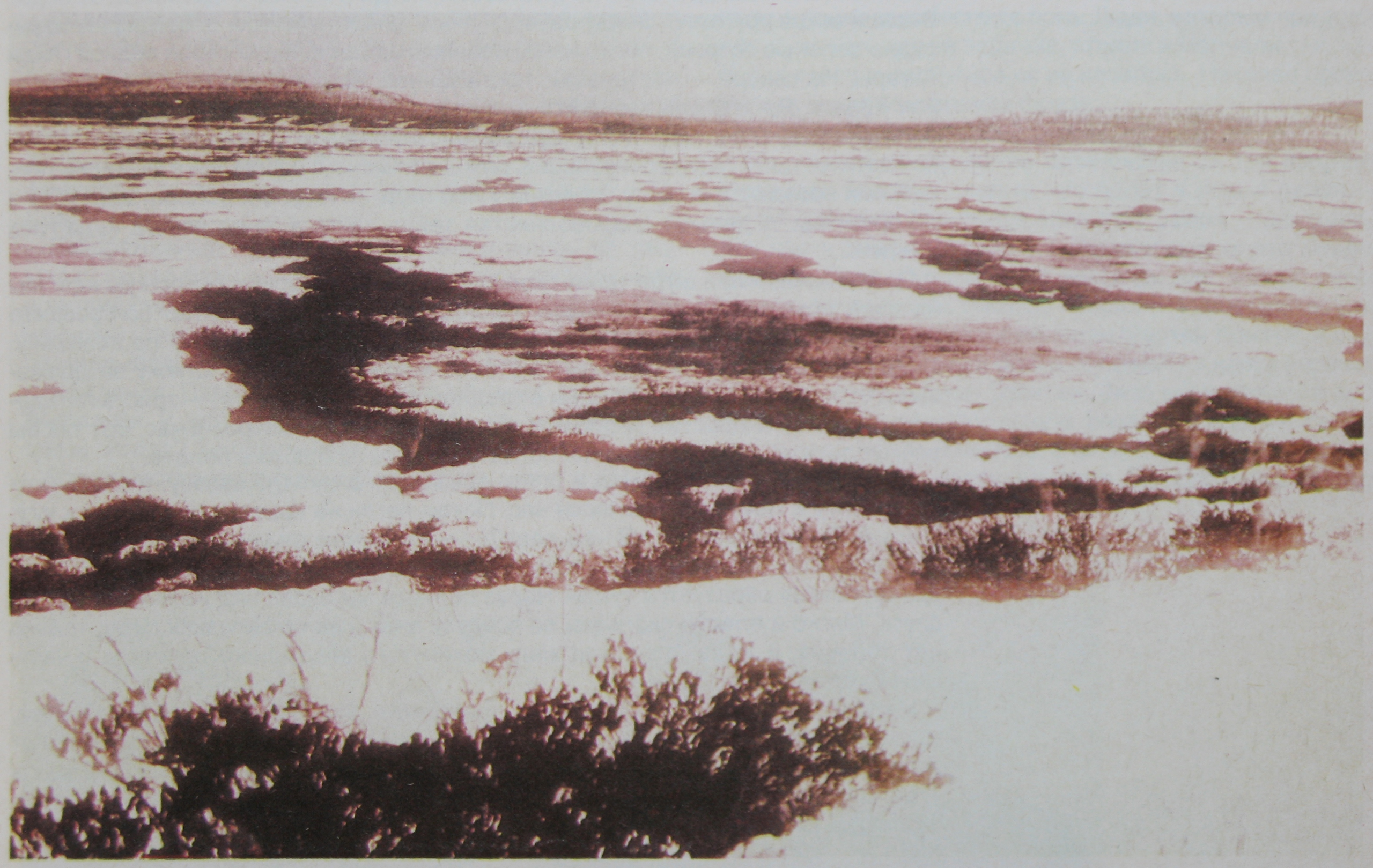 Tunguska event