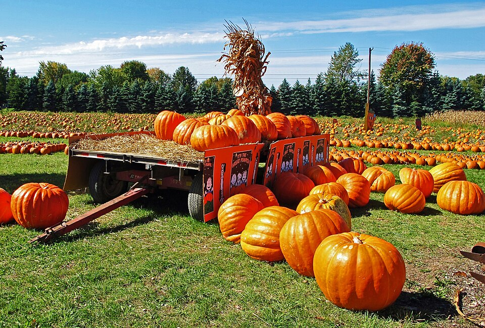 Agricultural Displays