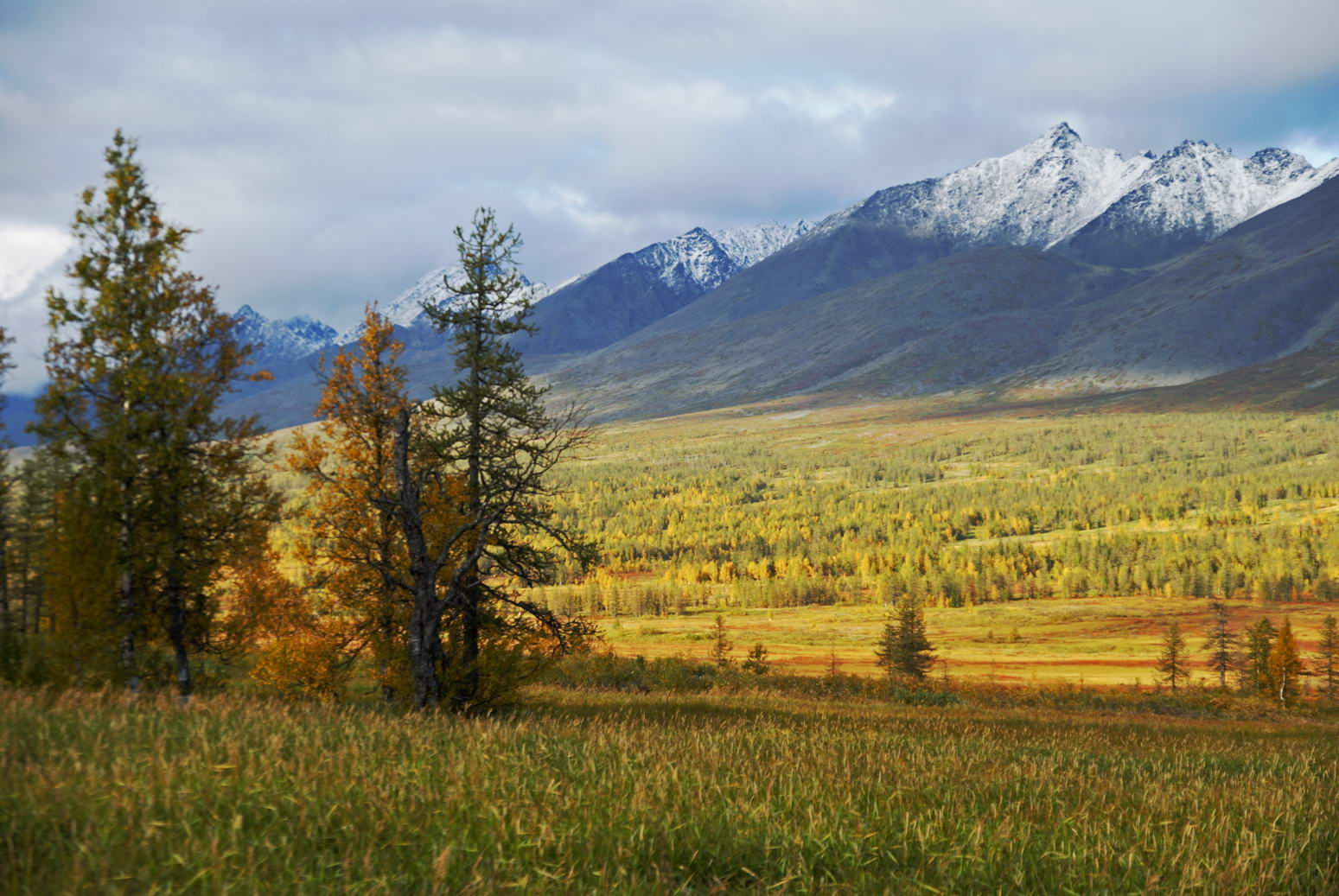 Ural Mountains