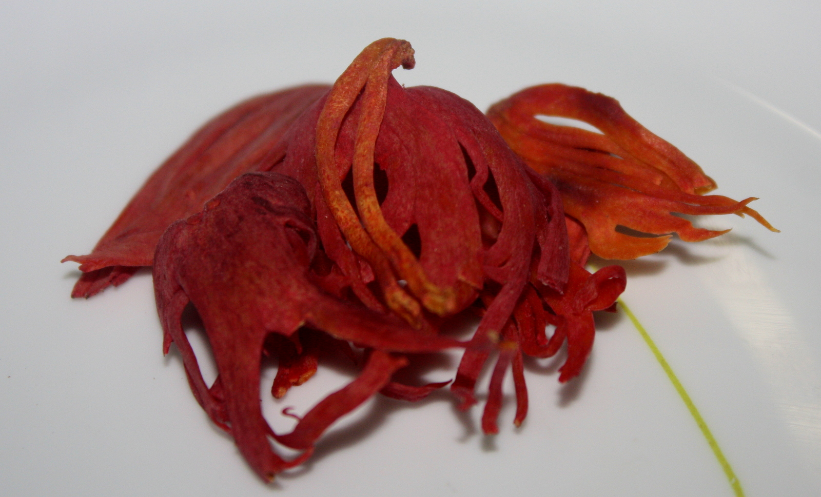 nutmeg spice fruit