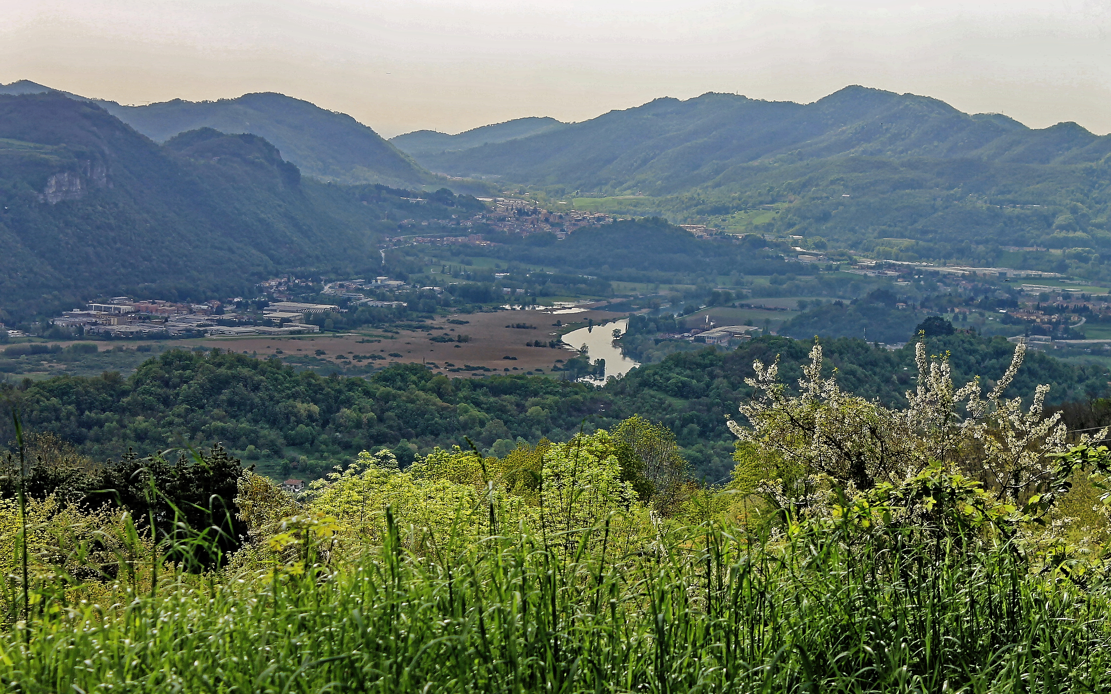 Consonno