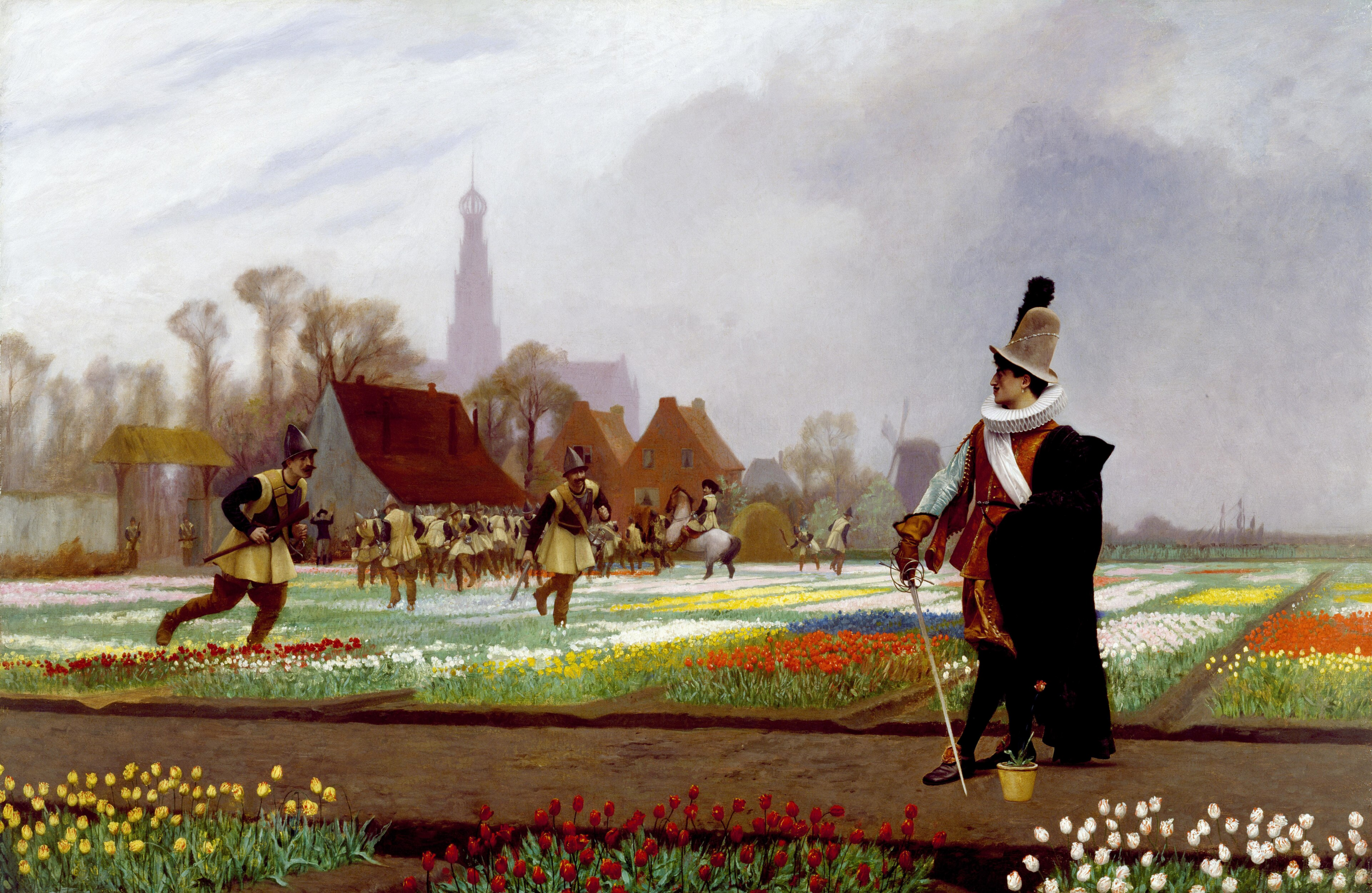 Dutch tulips Semper