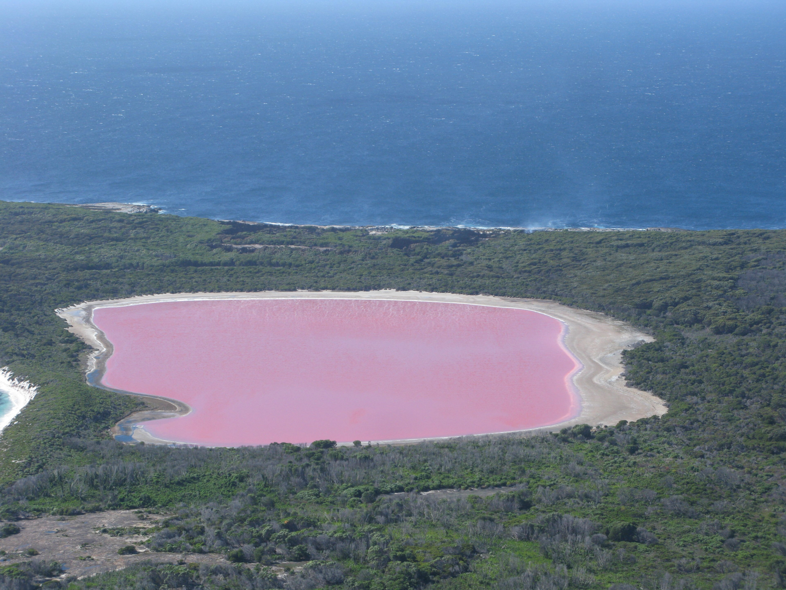 Lake Hillier's Pink Water