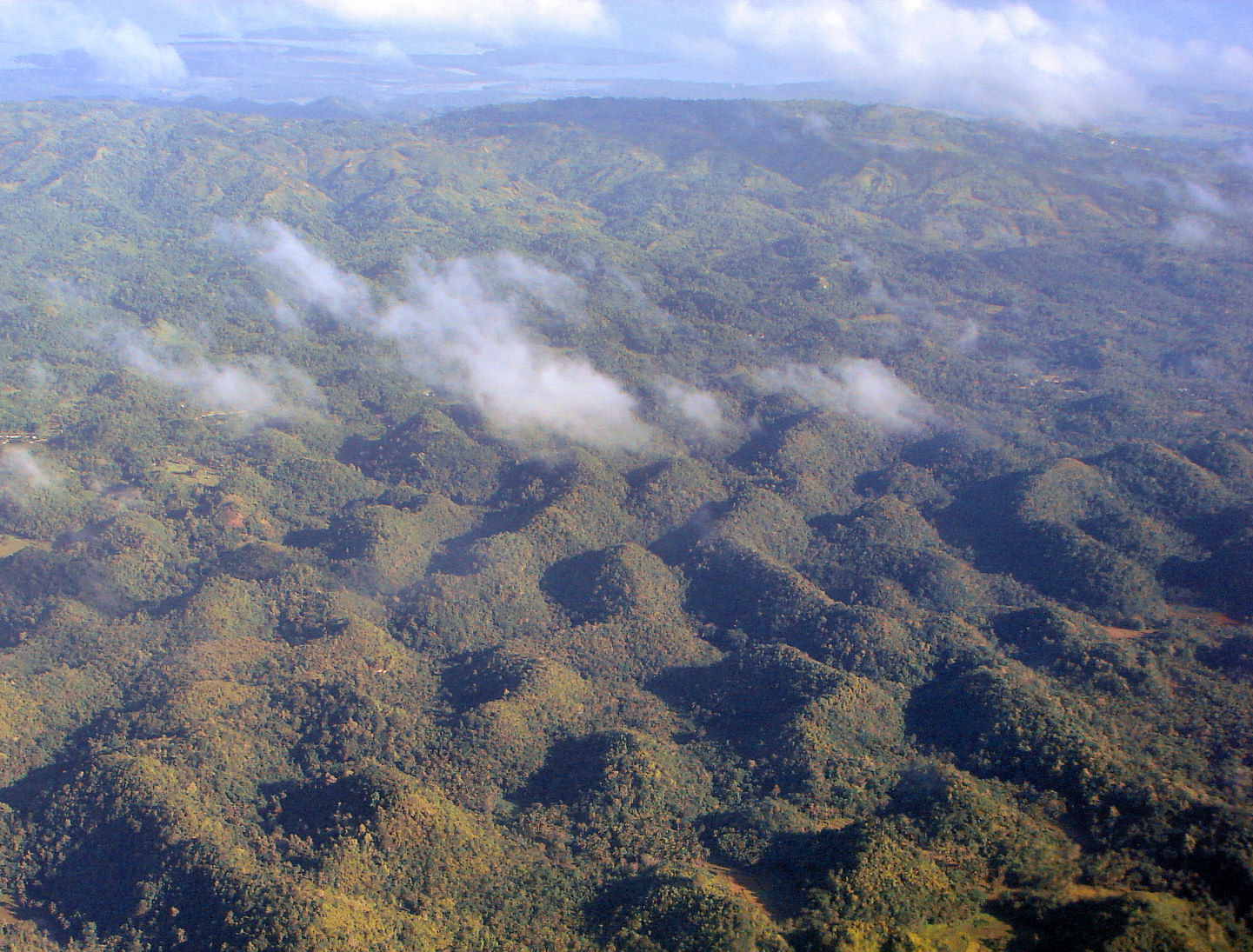The Chocolate Hills