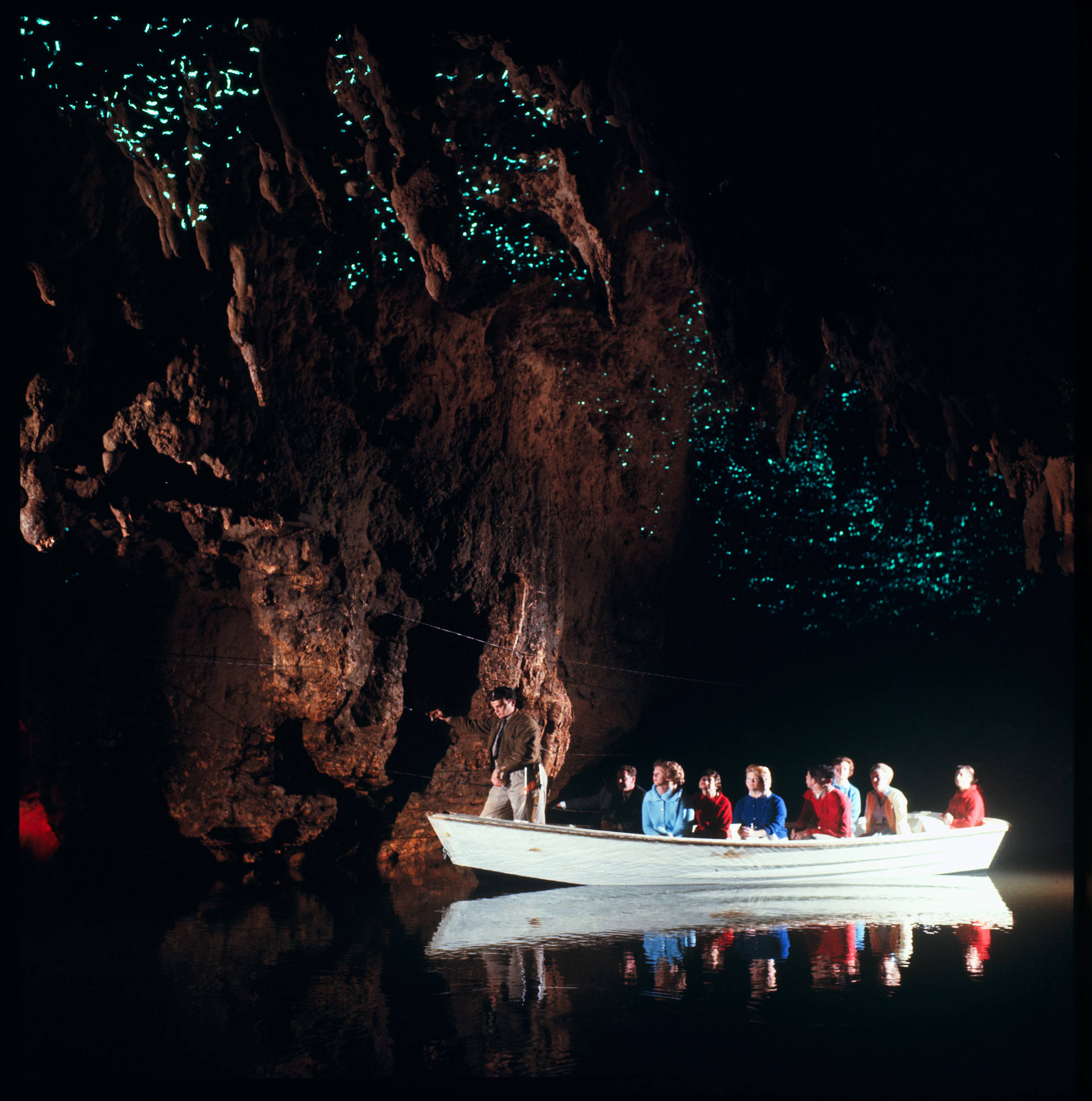 The Glowworm Caves
