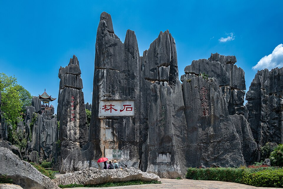 The Stone Forest