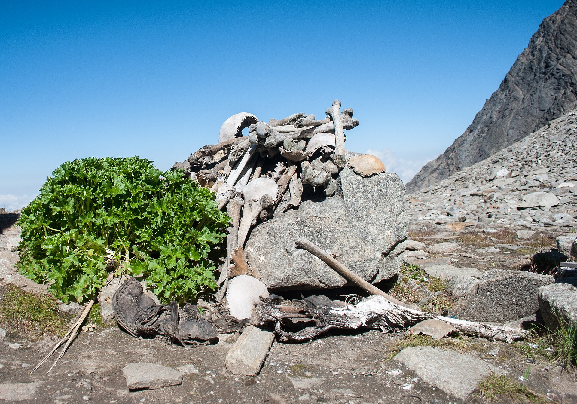 Roopkund Skeleton Lake