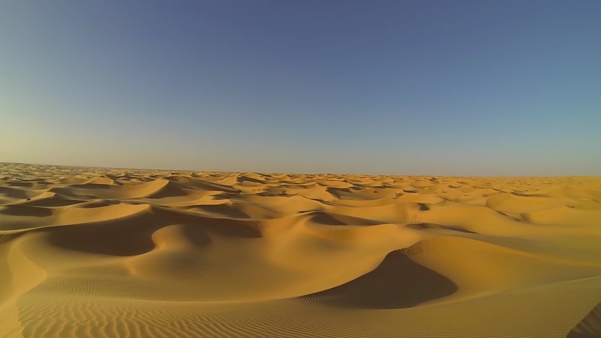 Sahara desert