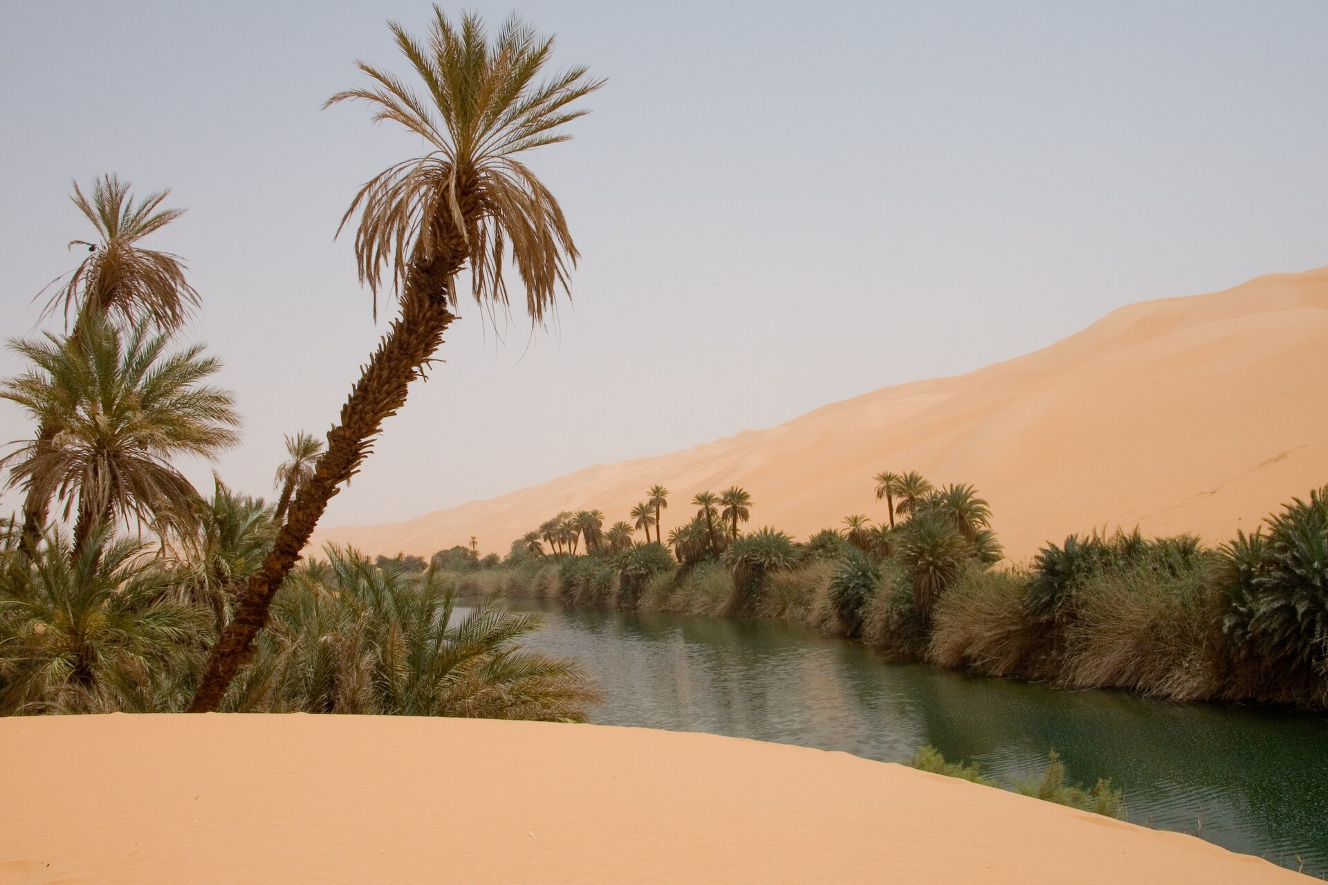 Sahara desert
