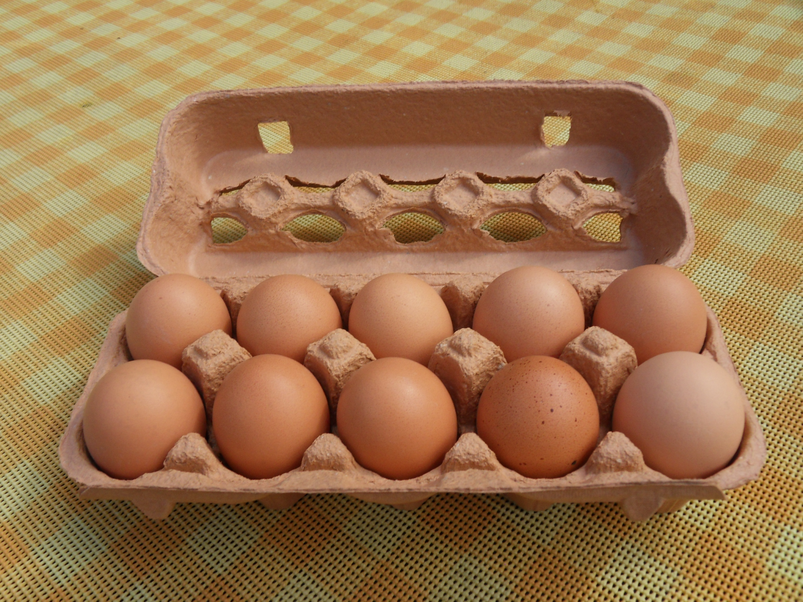 Eggs 