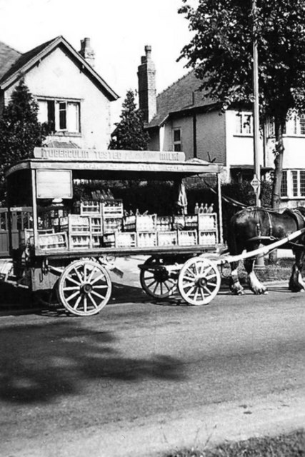 Milkman