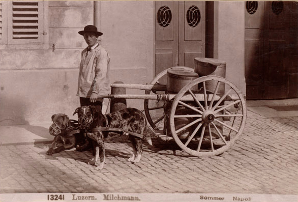 Milkman