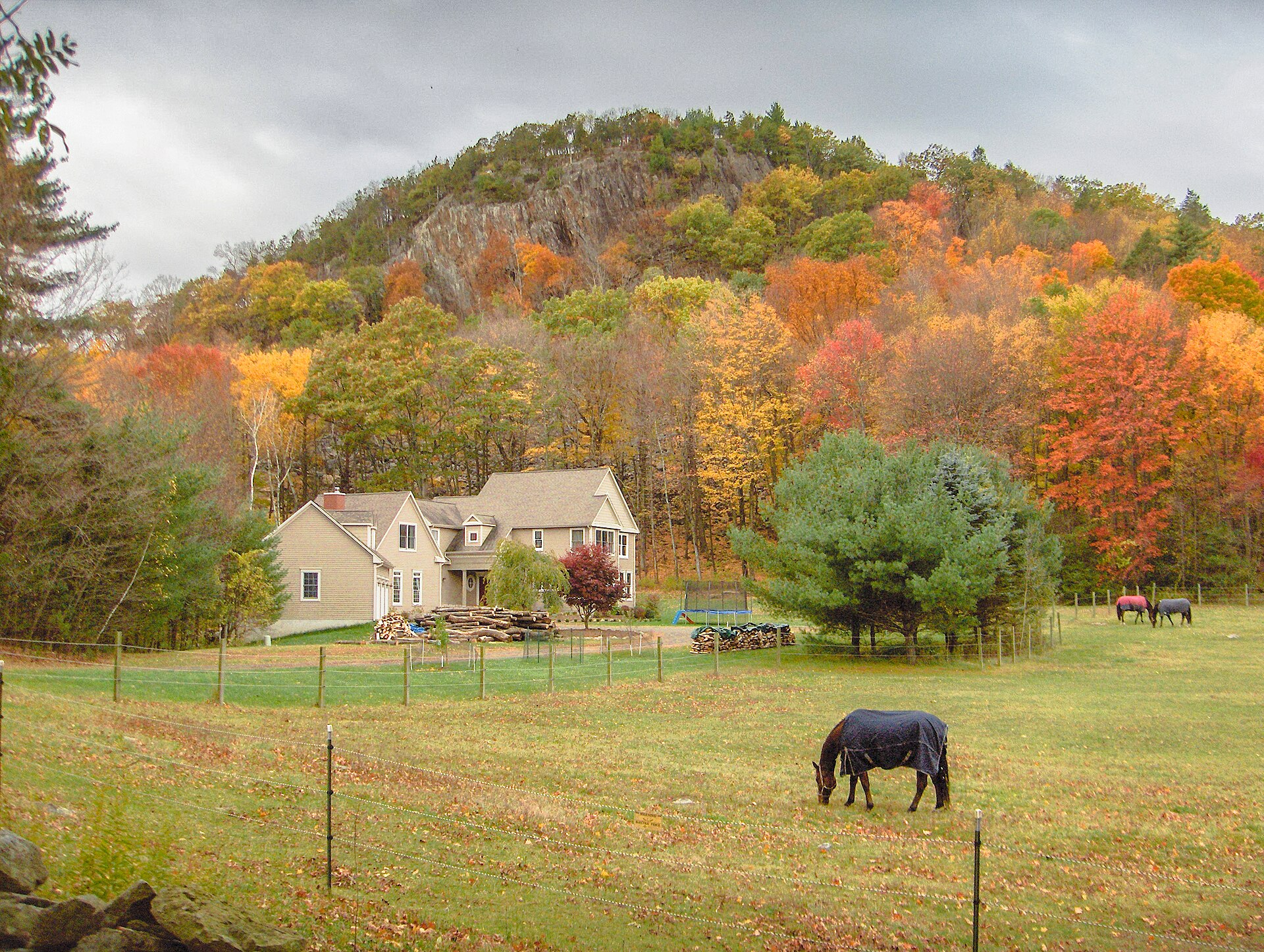 New England Fall Foliage  