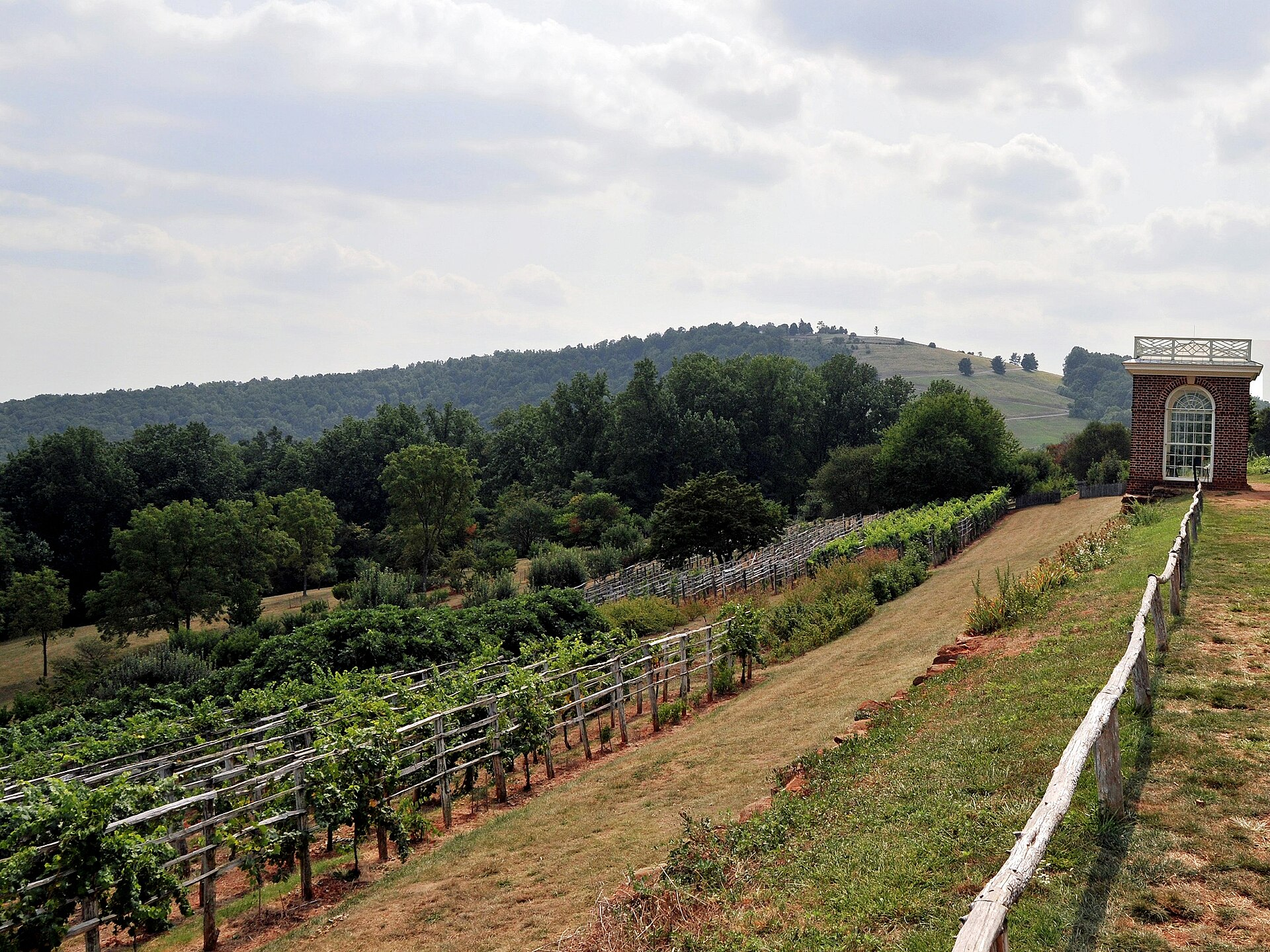 Virginia Wine Country