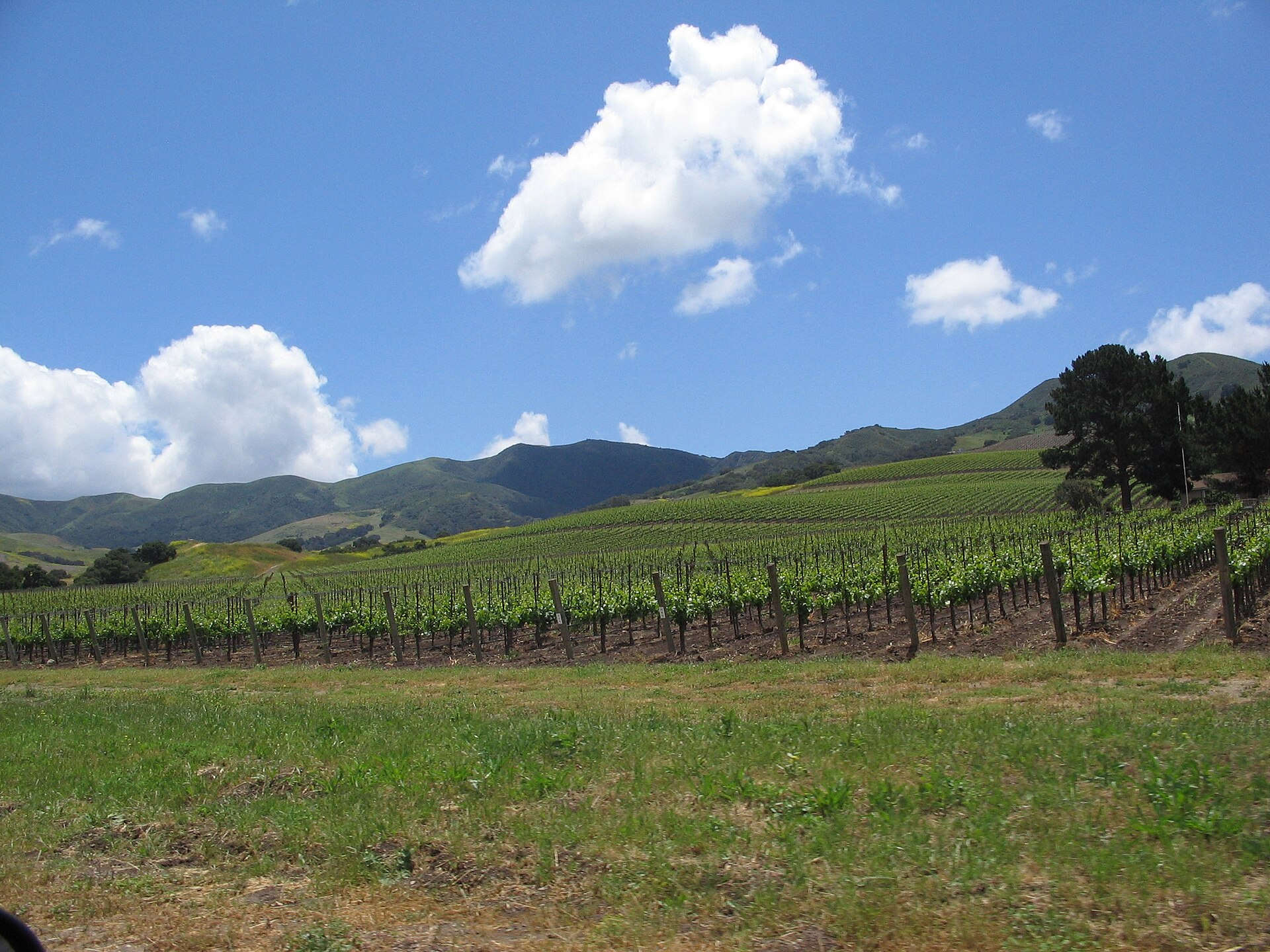 Santa Ynez Valley, California