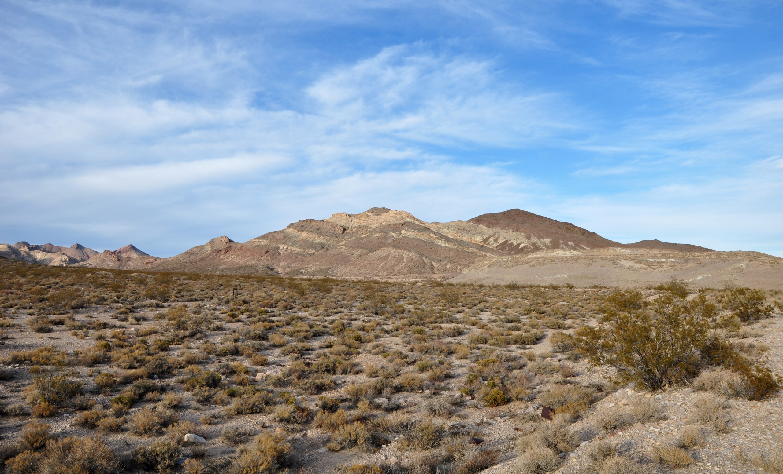 Rhyolite Nevada