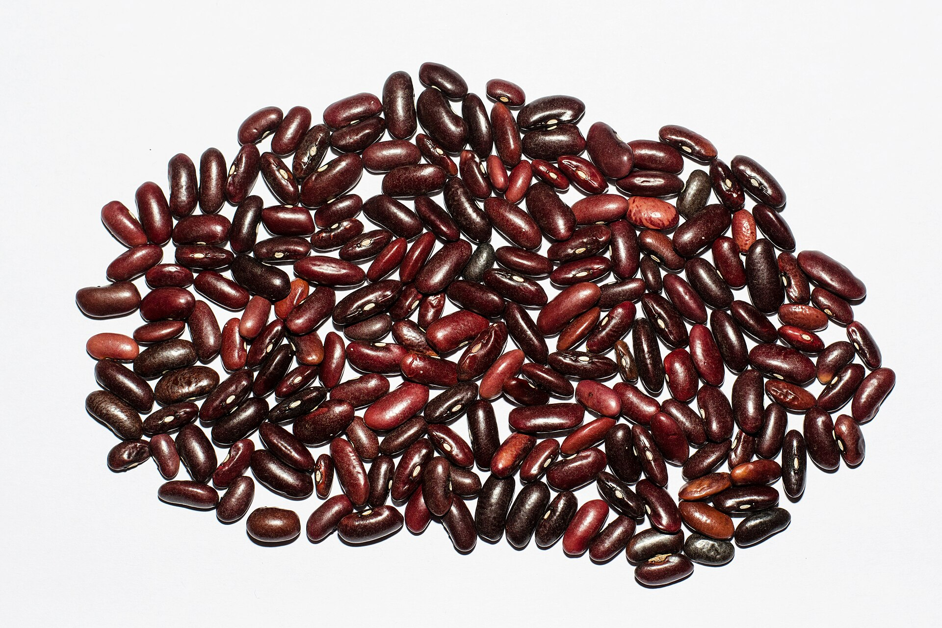 Dried Beans
