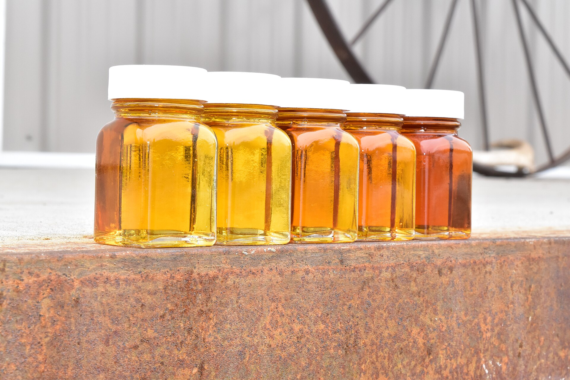 Maple Syrup