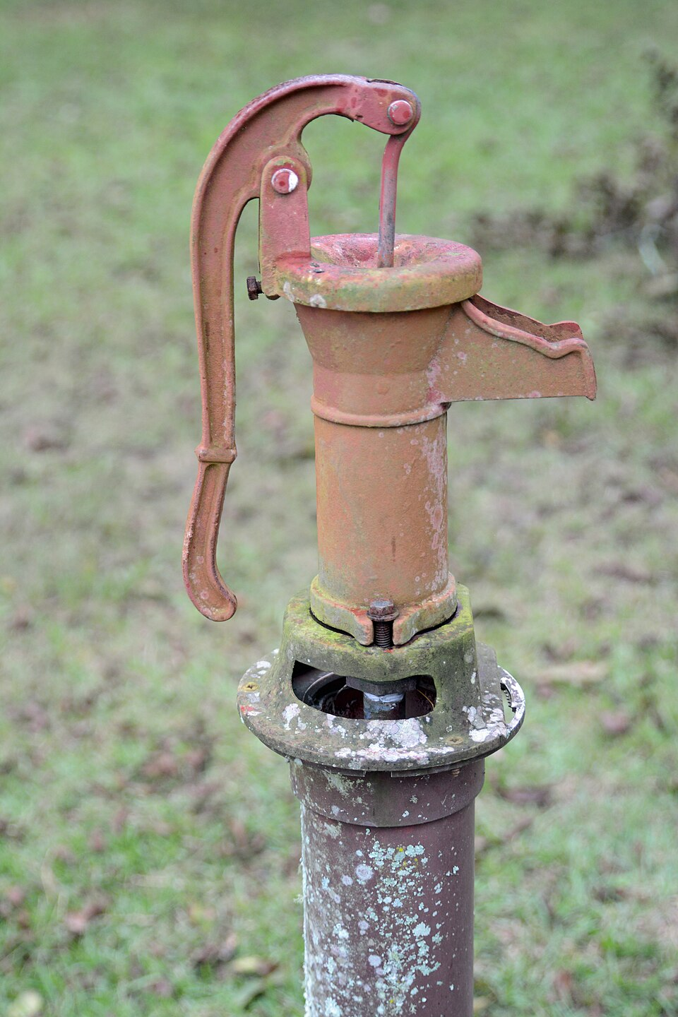 Hauling Water