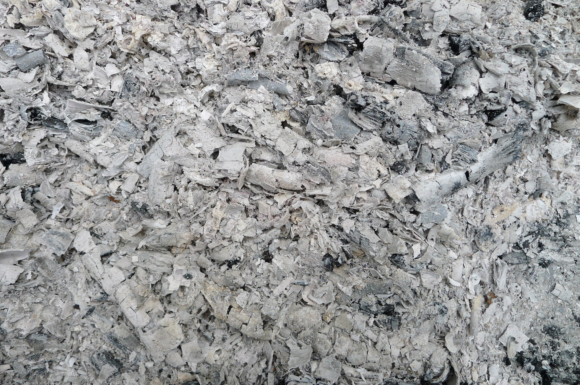 Ash