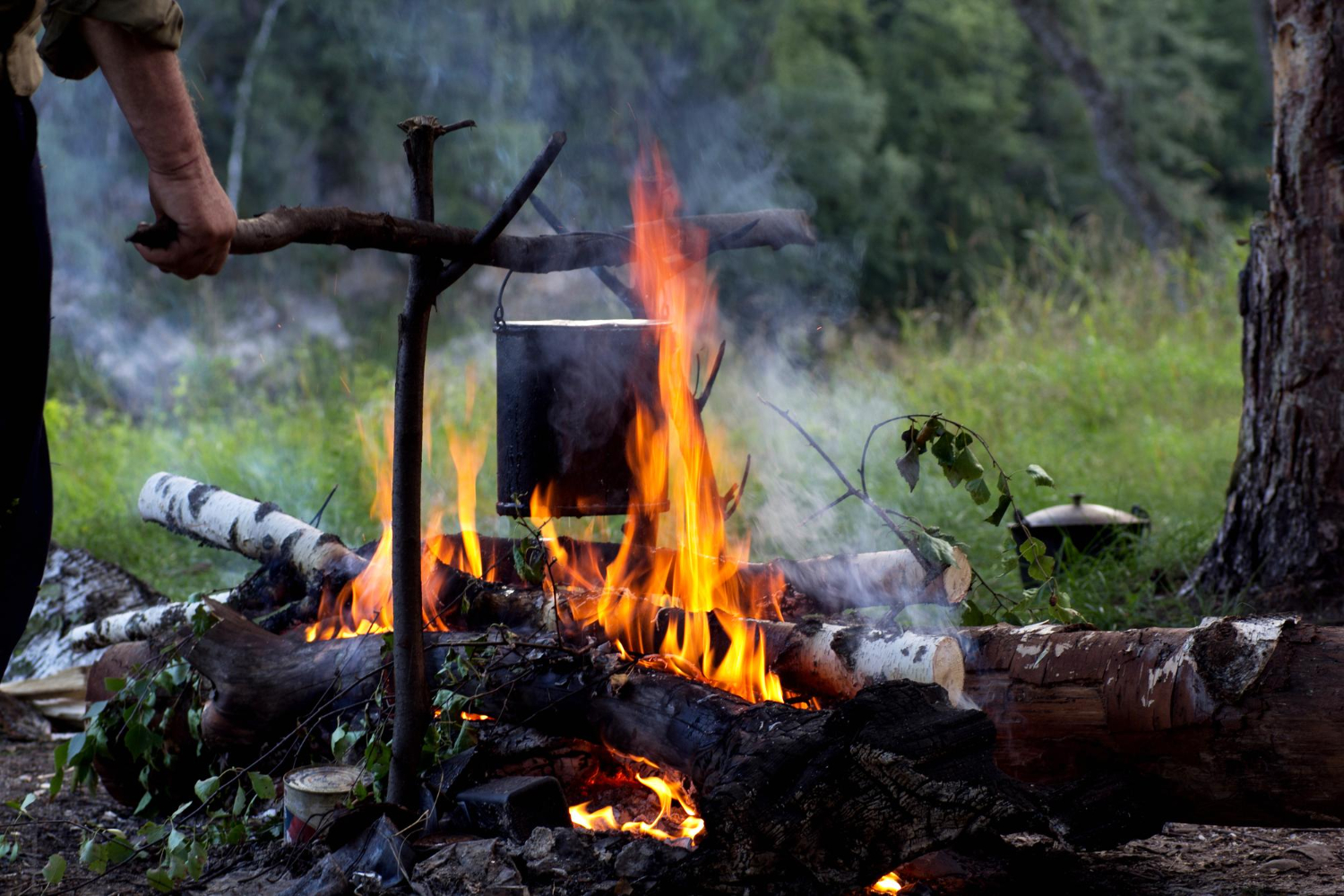 12 Ways of Cooking Over Fire and What Each One Is Doing Differently