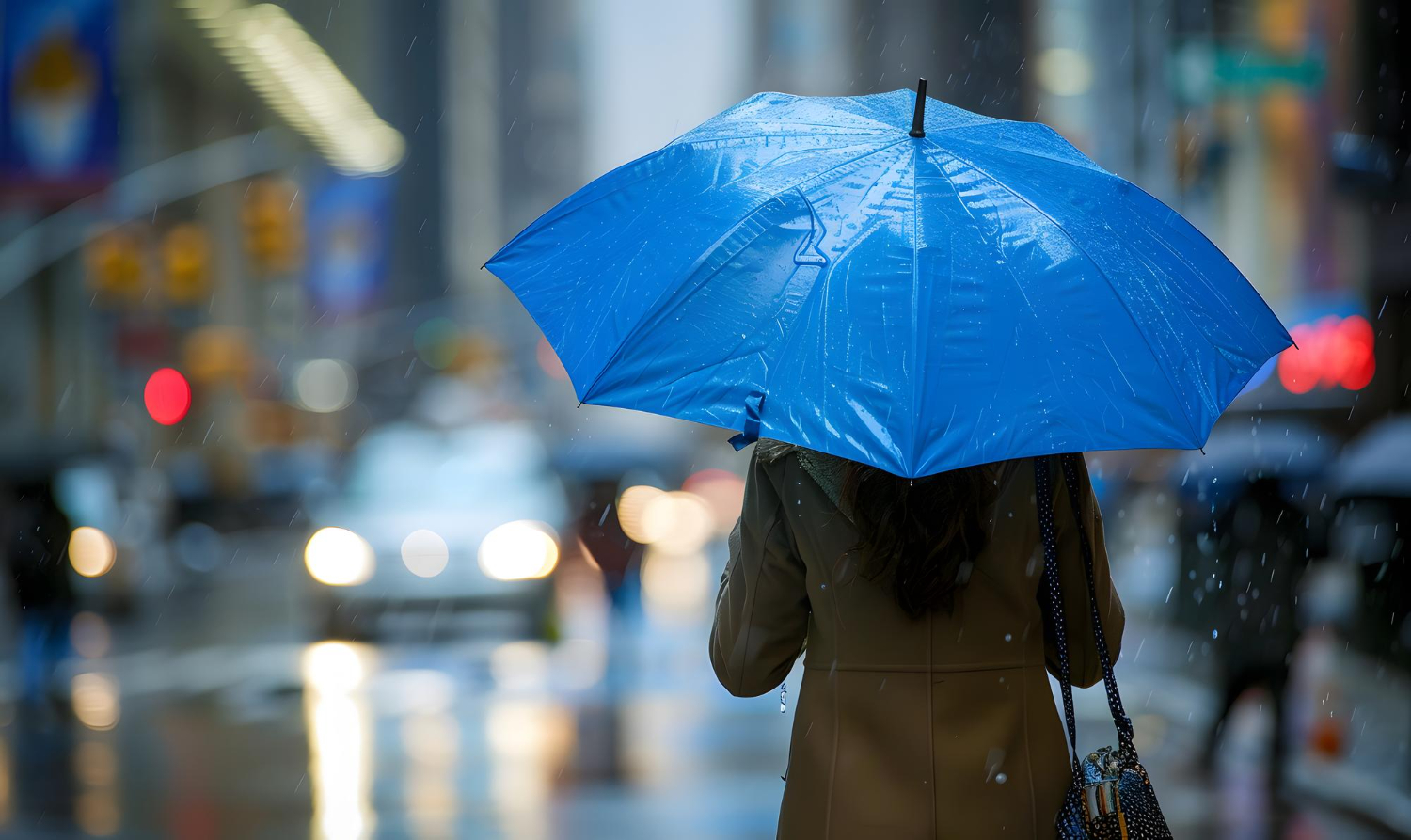 rainy street city umbrella