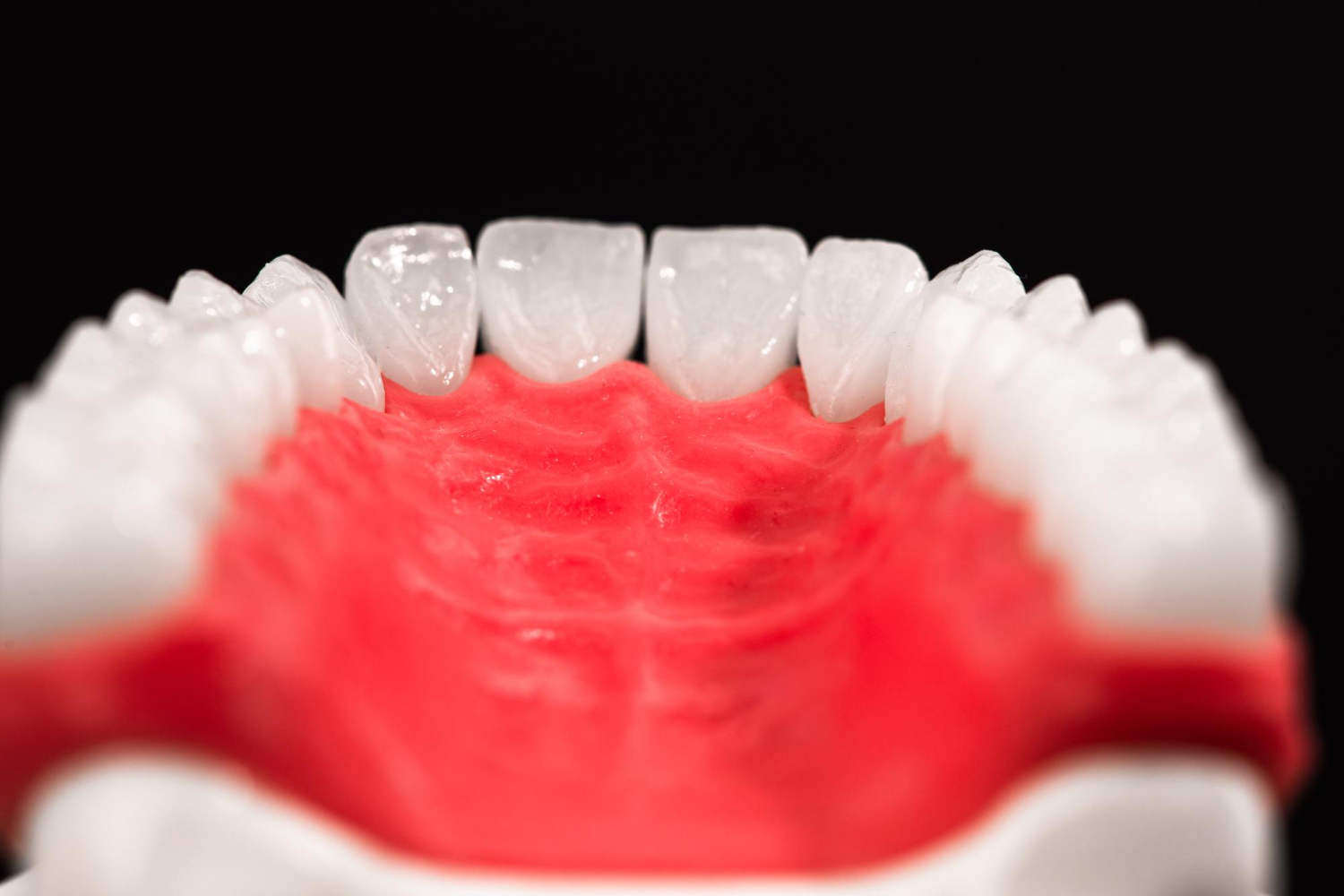 human skull jaw teeth