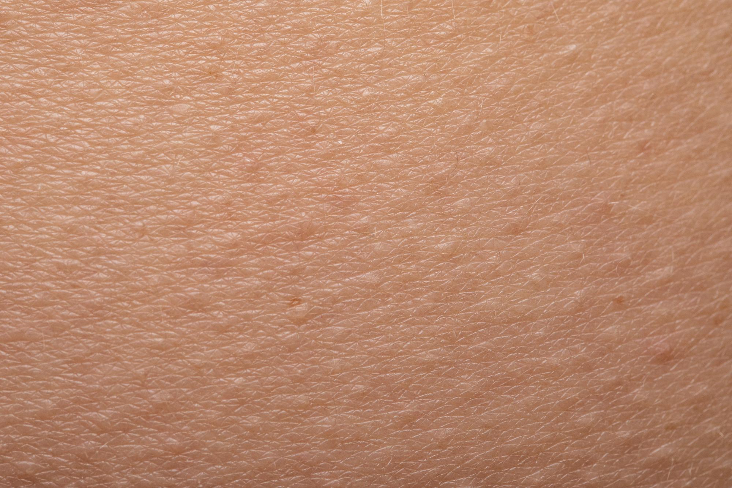 human skin