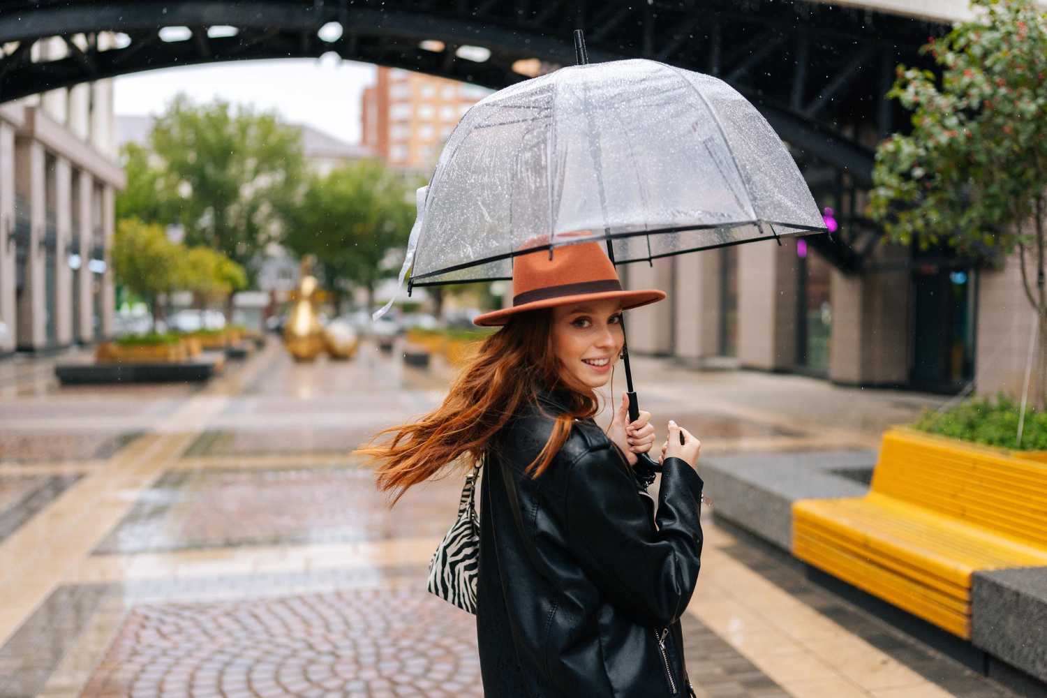 rainy street city umbrella