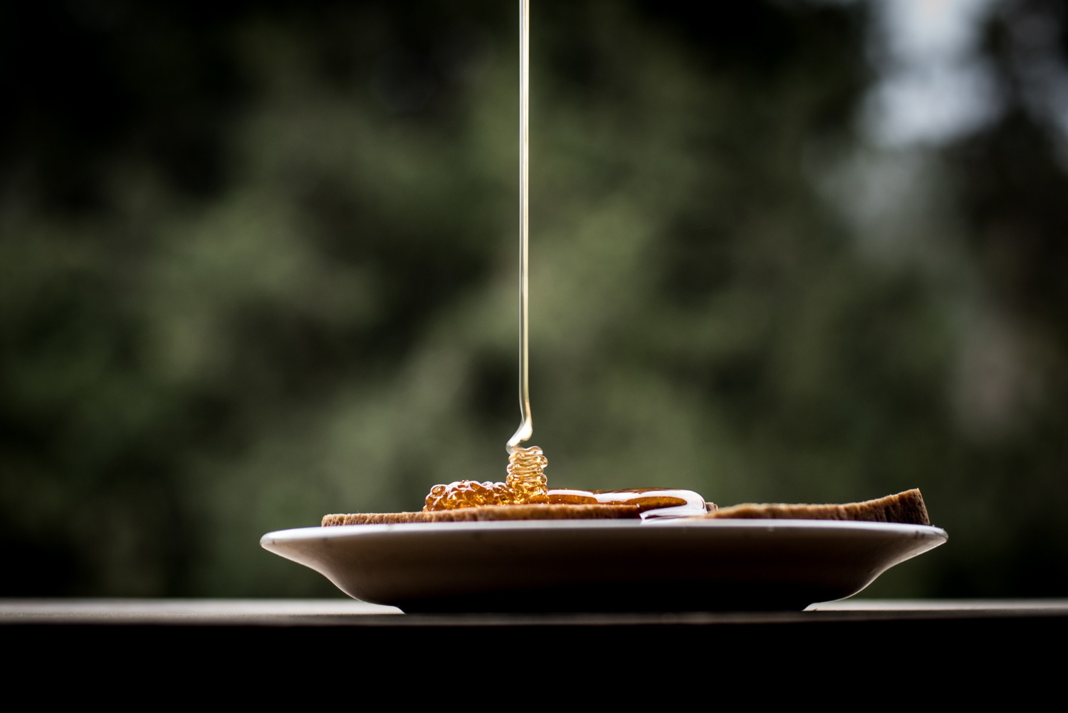 sugar syrup