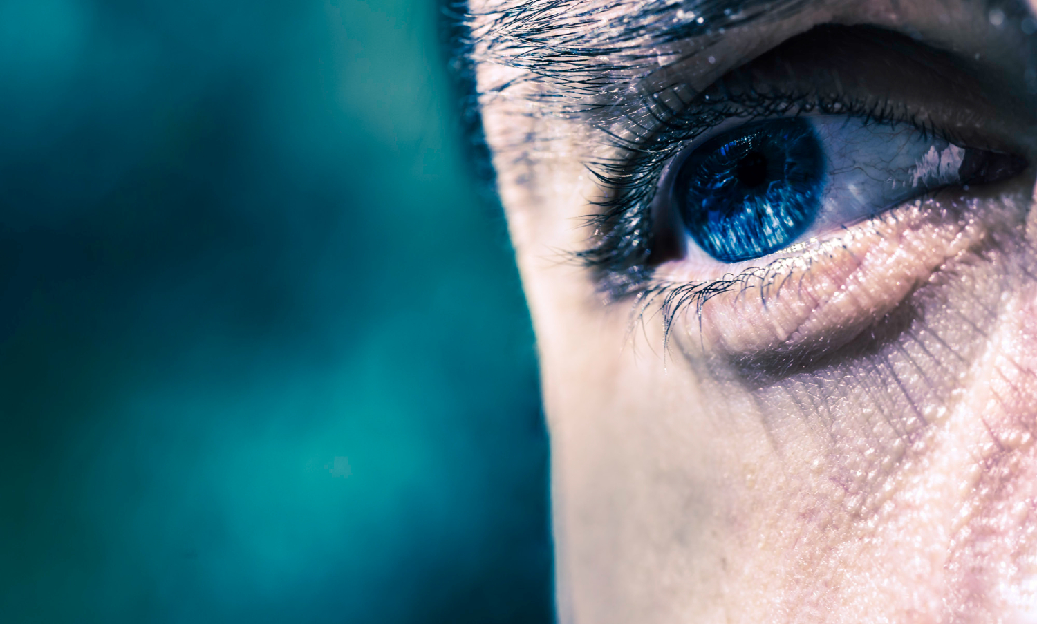 Human eye iris close up