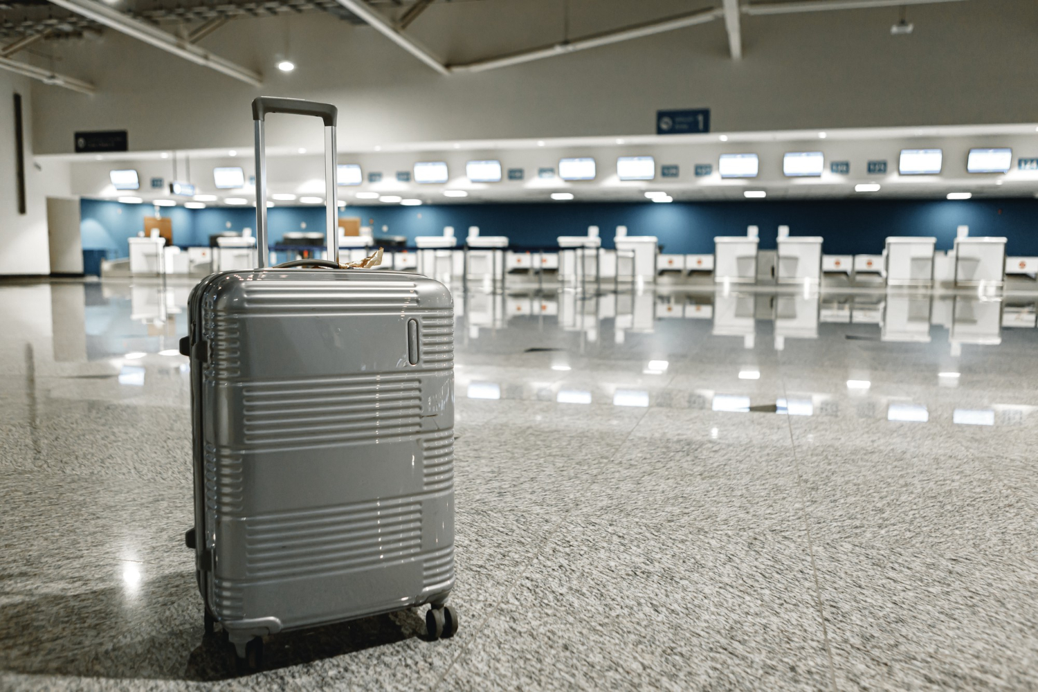 Traveler